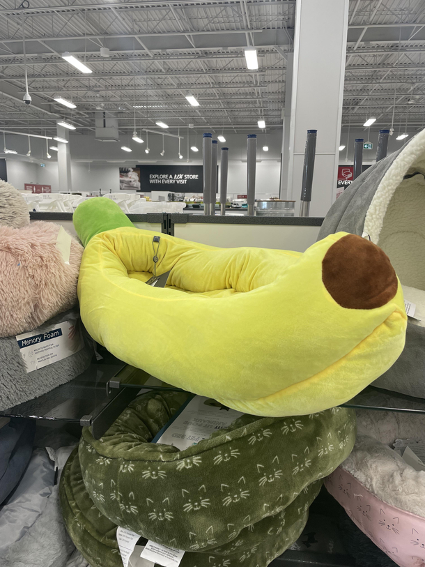 This banana dog bed I saw today