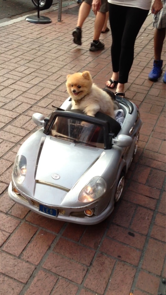 This bitch almost hit me with her car