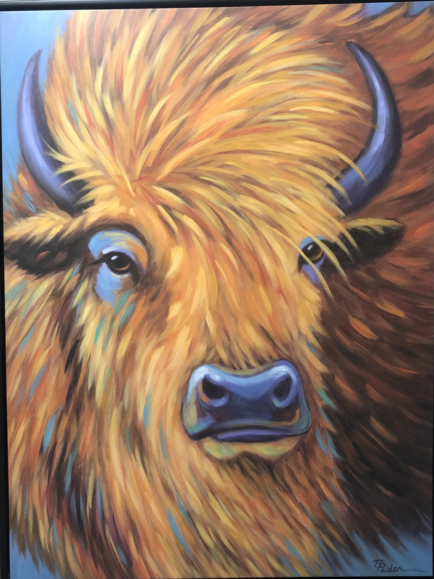 This buffalo would like to speak with the manager please