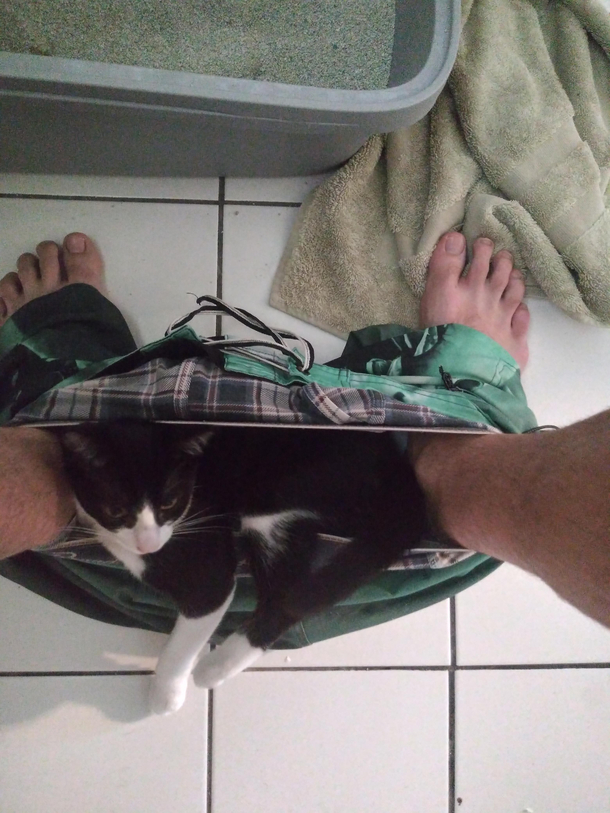 This cat has zero concept of privacy