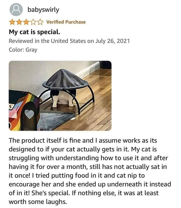 This cat is special