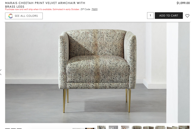This  chair looks like it has a poop stain on it