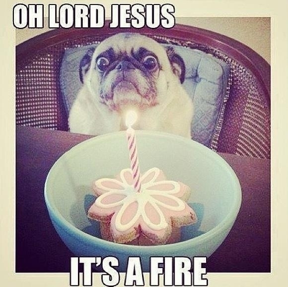 This cheers me up every time I see it