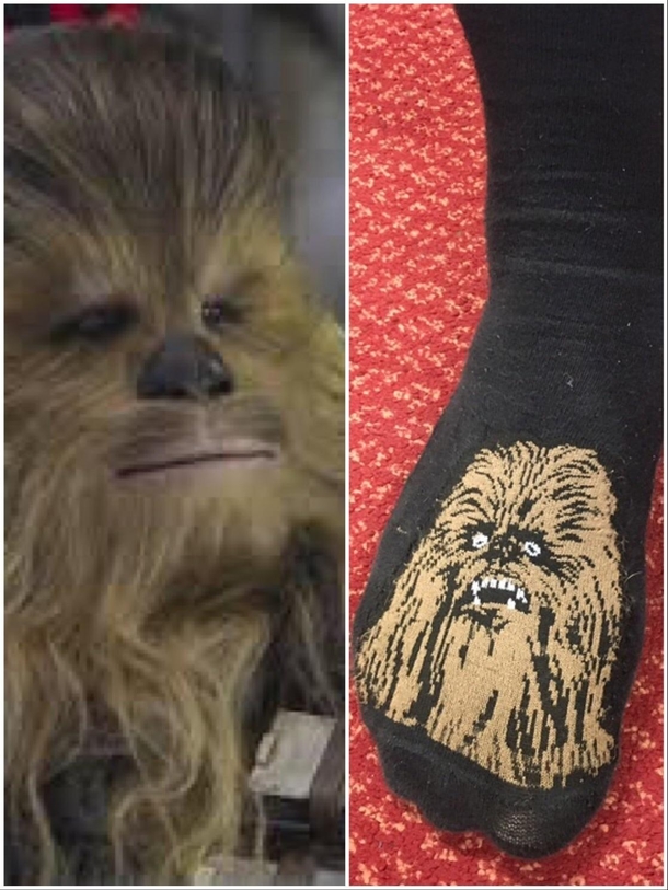 This chewbacca sock