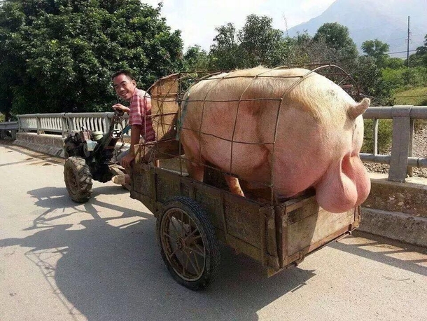 This Chinese farmer invented the original backup sensor - it emits a loud squeal when his wagon is too close to an obstruction