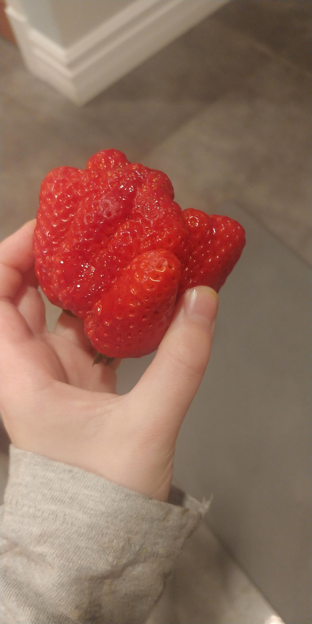 This chonky boy