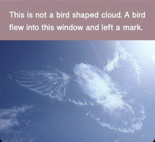 this cloud looks awesome