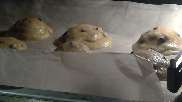 This cookie felt a bit too happy approaching his doom