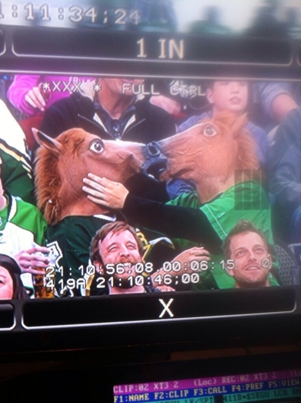 This Couple started making out for the Kiss Cam at a Dallas Stars Game