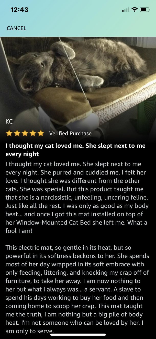 This customers review