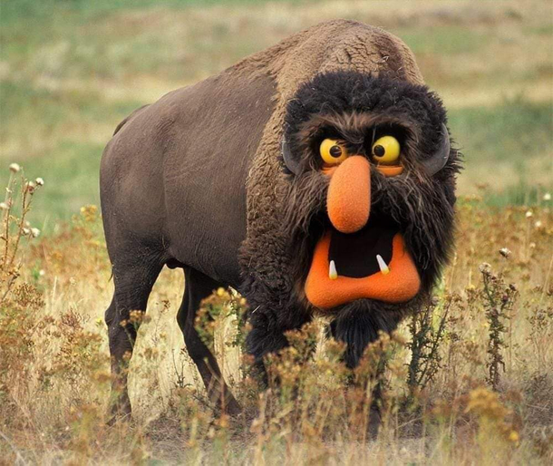 This deepfake muppet bison is here to brighten your day