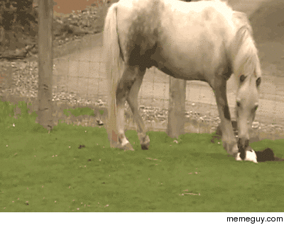 This doesnt taste like grass