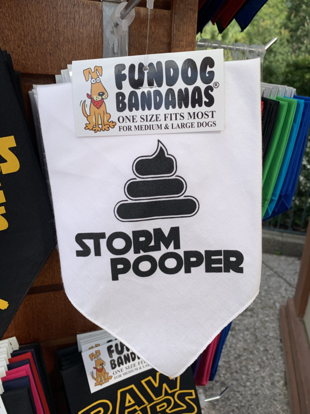 This dog bandana at Disney World