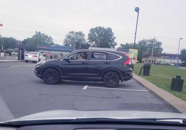 This dog doesnt know how to park