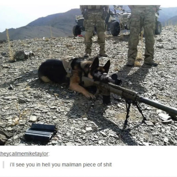 This dog finally got his revenge
