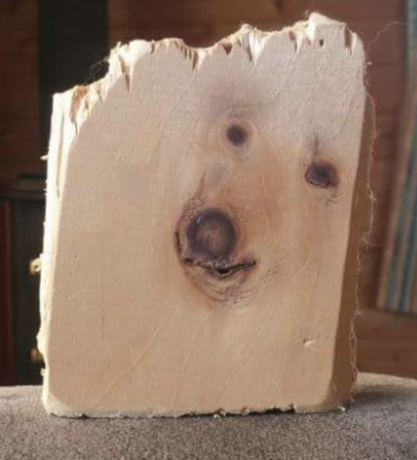This dog looks a little board
