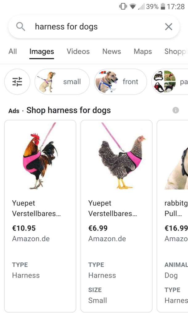 This dog looks weird