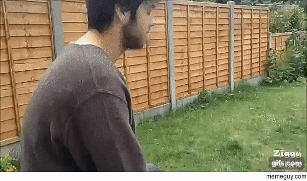 This dog when he hears his jam