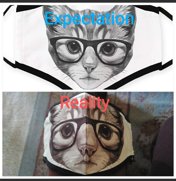 This double-nosed cat mask I bought is disappointing