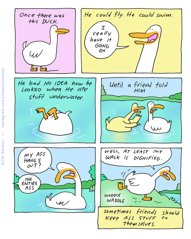 this duck