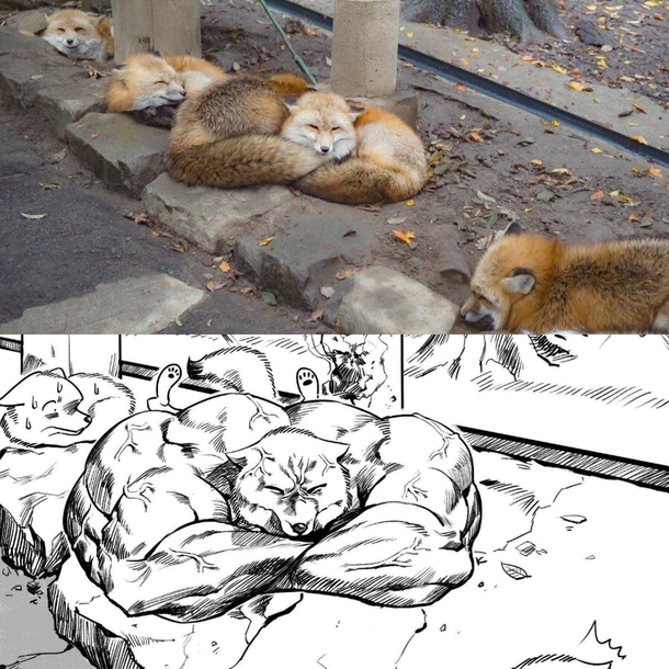 This dude is swoll