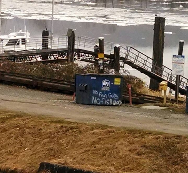 This dumpster on the harbour used to just say no fish guts Then someone made it awesome