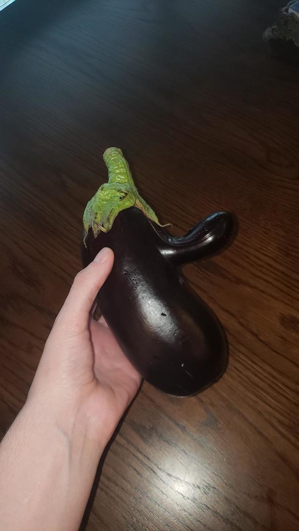 This eggplant we got from the farm today