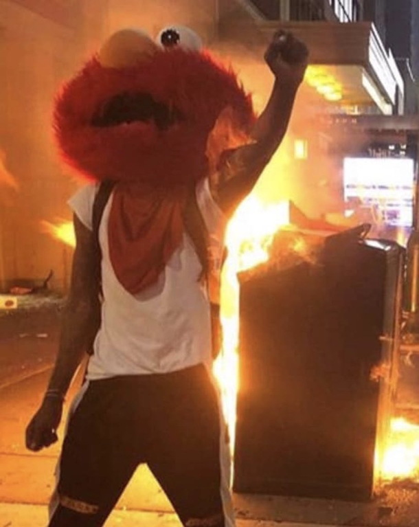 This Elmo protester
