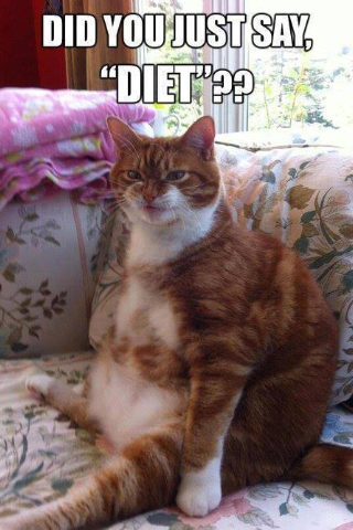 This Face makes me laugh everytime