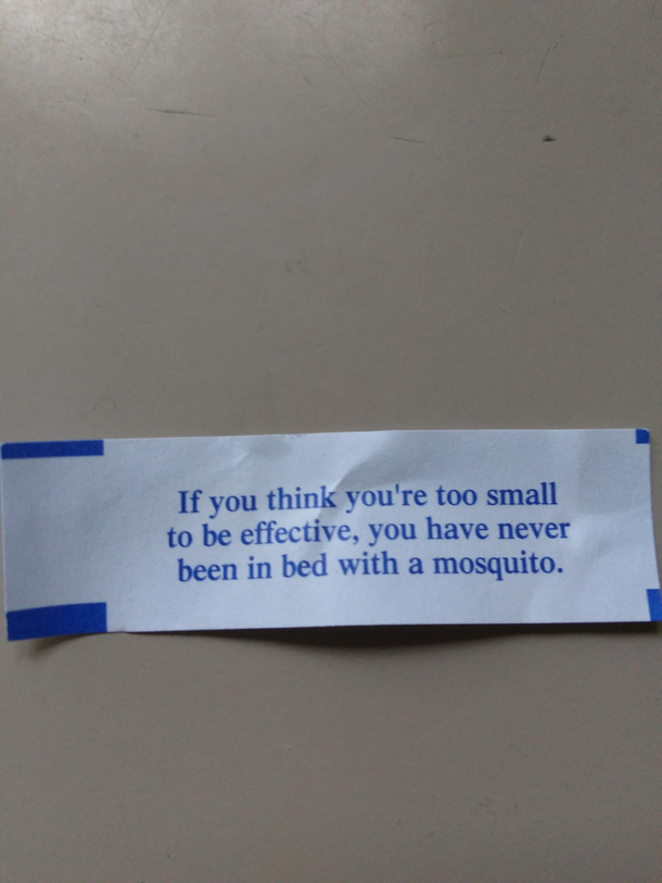 This fortune from a fortune cookie