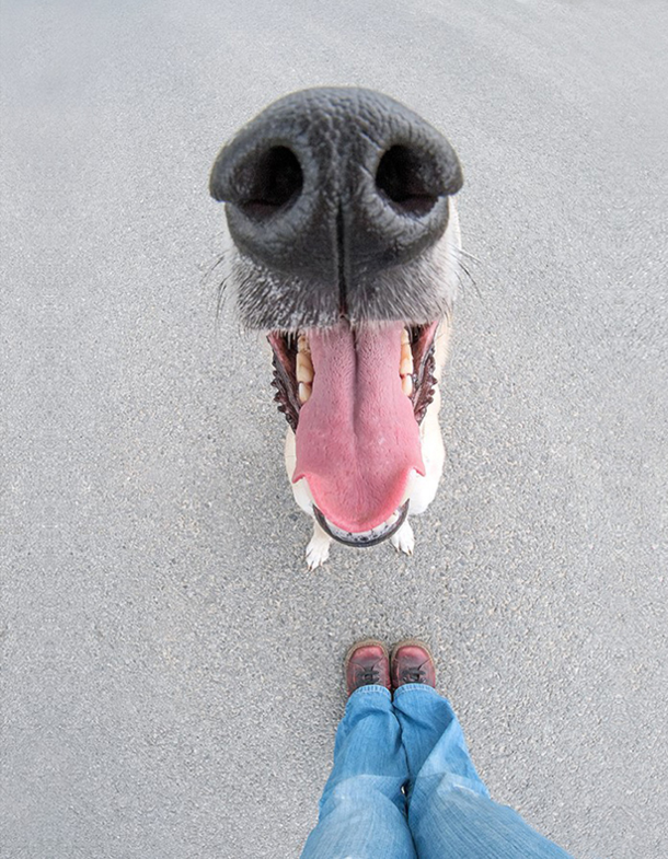 This friendly snoot