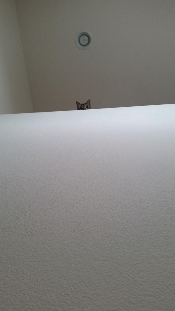 This fuckin guy always eyeballing me