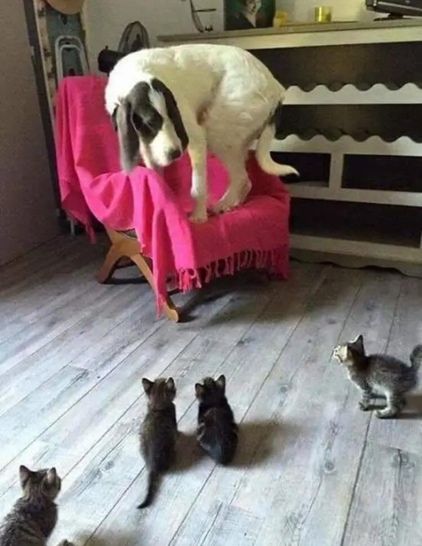 this gang violence is getting out of hand