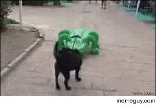 This GIF never fails to make me laugh on a bad day