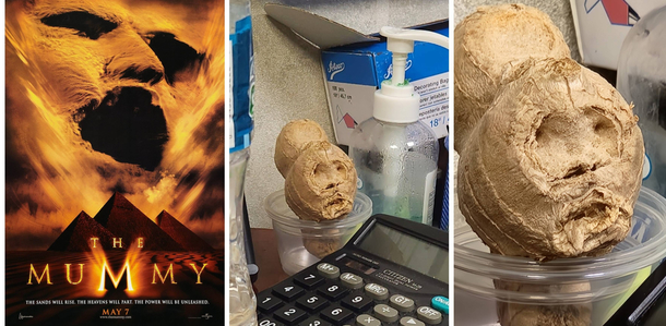 This ginger root over here looking like The Mummy Returns