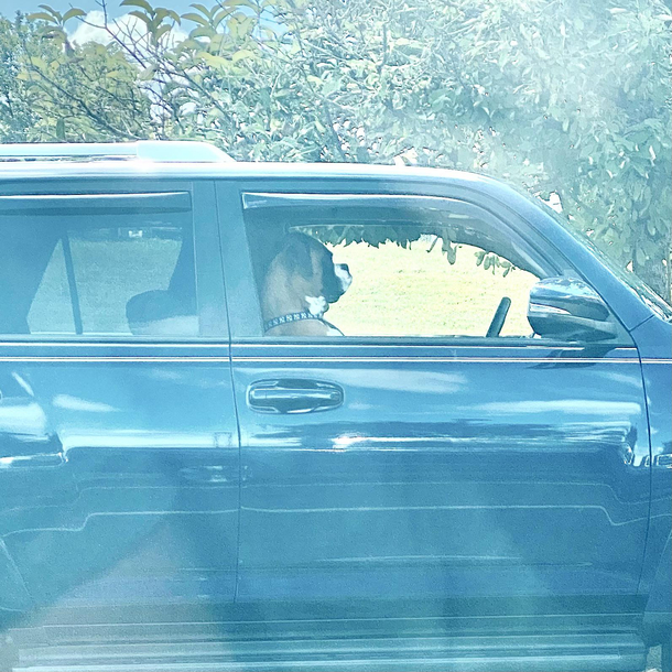 This guy in the car next to me keeps trying to avoid eye contact