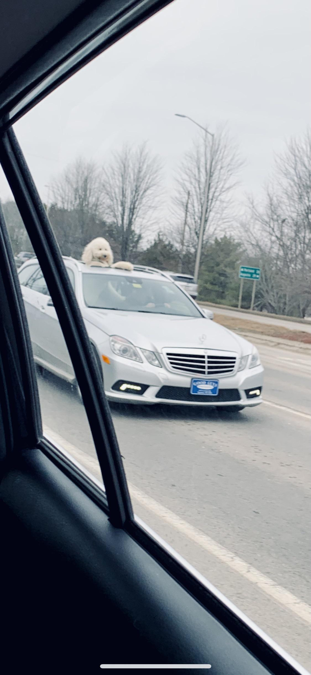 This guy knows how to party