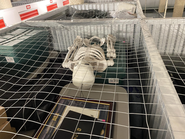 This guy literally has a skeleton in his closet