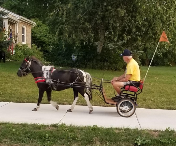 This guy riding through my Hometown in a pony chariot
