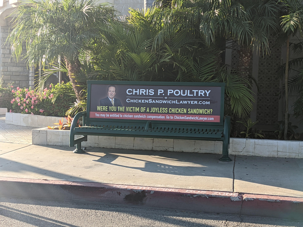 This guy studies Bird Law