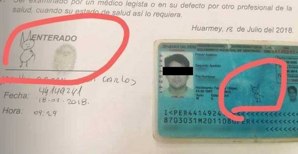 This guy using a cat as his official signature wins the internet today