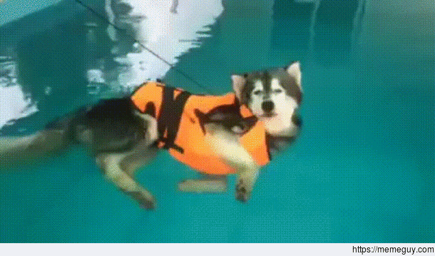 This guy was supposed to learn how to swim He decided floating was good enough