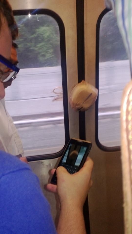 this guys lunch made it on the subway without him