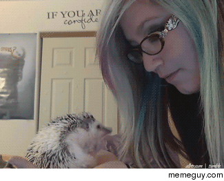 This hedgehog isnt afraid of anything