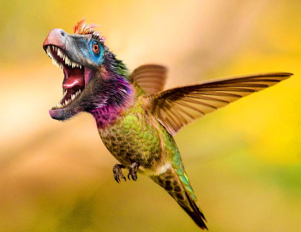 This Hummingraptor I photoshopped