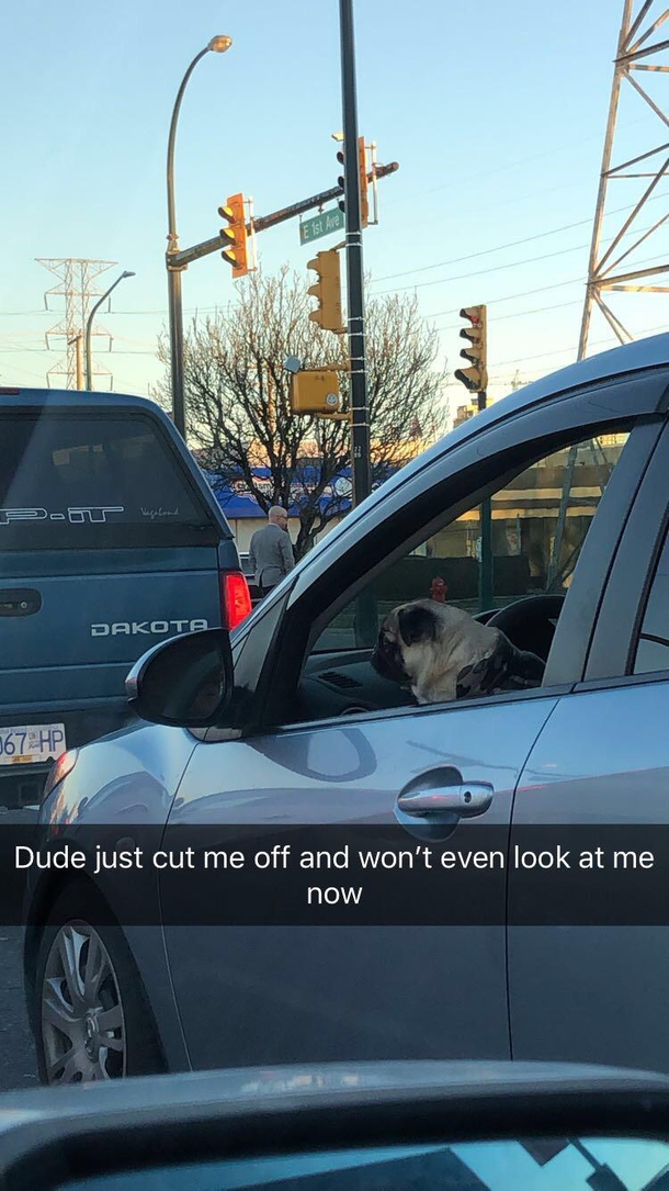 This idiot in traffic