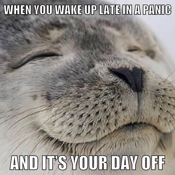 This is a Good Morning