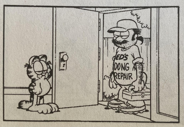 This is a real panel from a Garfield strip