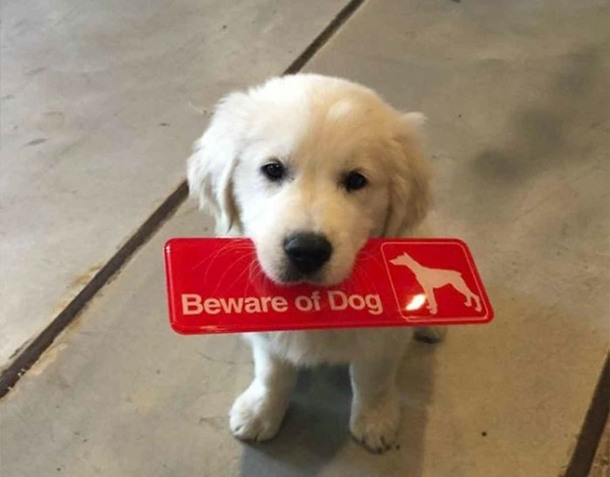 THIS IS A RISK IM WILLING TO TAKE