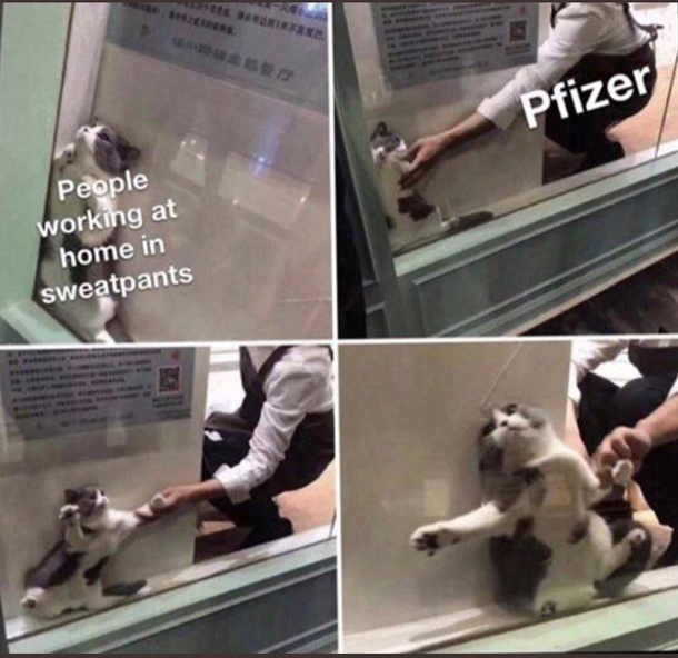 This is accurate AF I actually snorted 